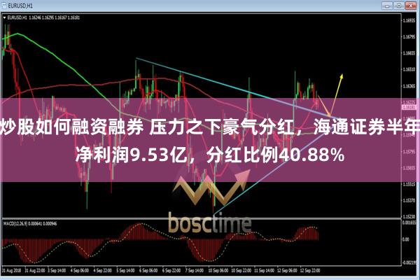 炒股如何融资融券 压力之下豪气分红，海通证券半年净利润9.53亿，分红比例40.88%