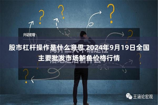 股市杠杆操作是什么意思 2024年9月19日全国主要批发市场鲈鱼价格行情
