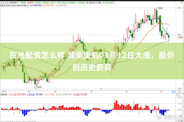 在线配资怎么样 潍柴重机03月12日大涨，股价创历史新高