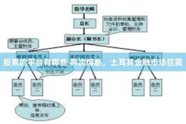 股票的平台有哪些 两次熔断，土耳其金融市场巨震