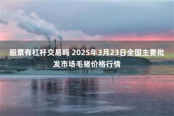 股票有杠杆交易吗 2025年3月23日全国主要批发市场毛猪价格行情
