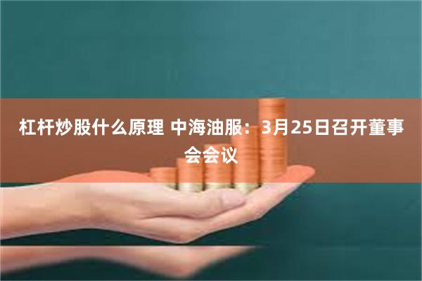 杠杆炒股什么原理 中海油服：3月25日召开董事会会议