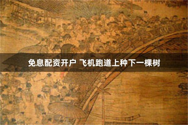 免息配资开户 飞机跑道上种下一棵树
