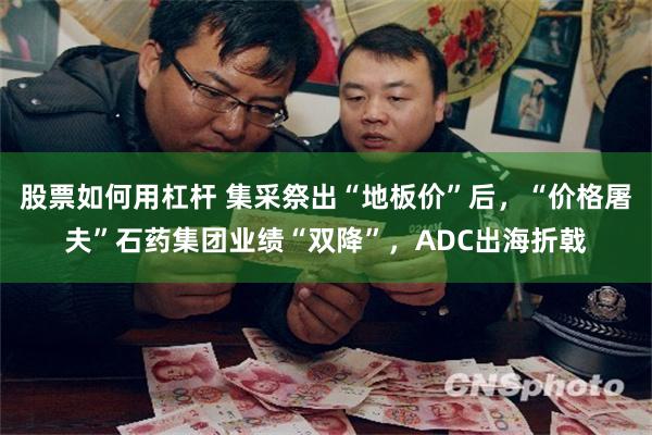股票如何用杠杆 集采祭出“地板价”后，“价格屠夫”石药集团业绩“双降”，ADC出海折戟