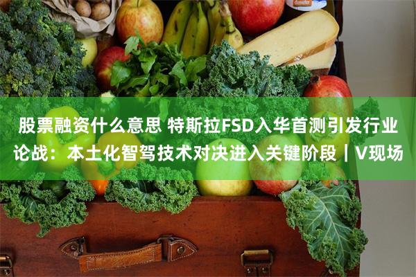 股票融资什么意思 特斯拉FSD入华首测引发行业论战：本土化智驾技术对决进入关键阶段｜V现场