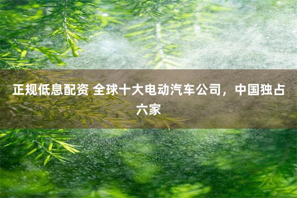正规低息配资 全球十大电动汽车公司，中国独占六家