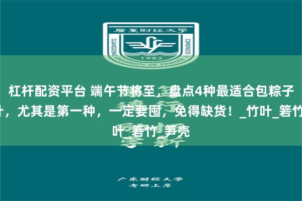 杠杆配资平台 端午节将至，盘点4种最适合包粽子的粽叶，尤其是第一种，一定要囤，免得缺货！_竹叶_箬竹_笋壳