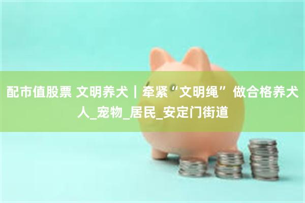 配市值股票 文明养犬｜牵紧“文明绳” 做合格养犬人_宠物_居民_安定门街道