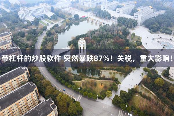 带杠杆的炒股软件 突然暴跌87%！关税，重大影响！
