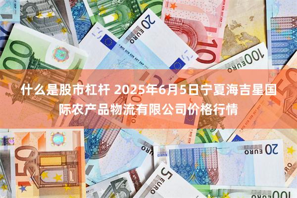 什么是股市杠杆 2025年6月5日宁夏海吉星国际农产品物流有限公司价格行情