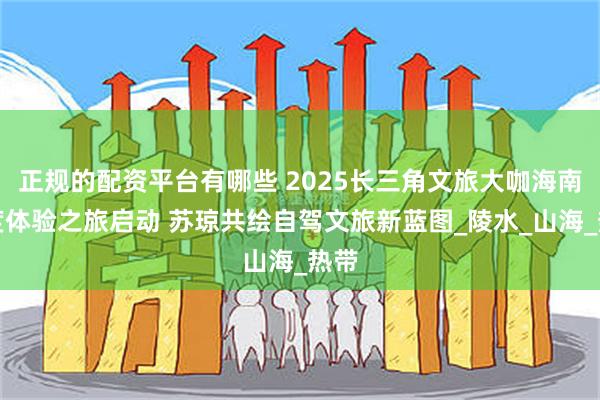 正规的配资平台有哪些 2025长三角文旅大咖海南深度体验之旅启动 苏琼共绘自驾文旅新蓝图_陵水_山海_热带