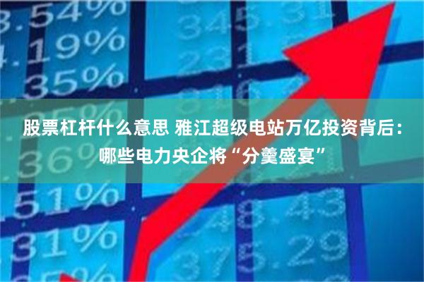 股票杠杆什么意思 雅江超级电站万亿投资背后：哪些电力央企将“分羹盛宴”
