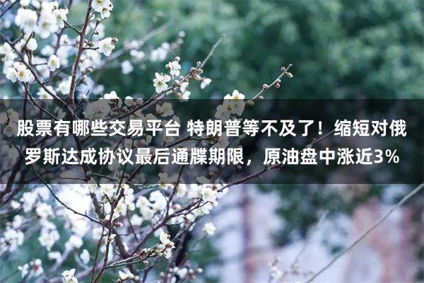 股票有哪些交易平台 特朗普等不及了！缩短对俄罗斯达成协议最后通牒期限，原油盘中涨近3%