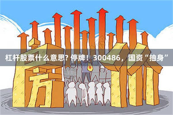 杠杆股票什么意思? 停牌！300486，国资“抽身”