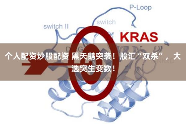 个人配资炒股配资 黑天鹅突袭！股汇“双杀”，大选突生变数！