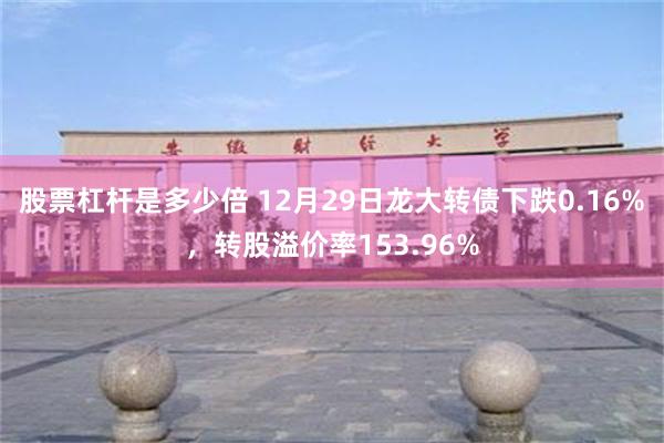 股票杠杆是多少倍 12月29日龙大转债下跌0.16%，转股溢价率153.96%