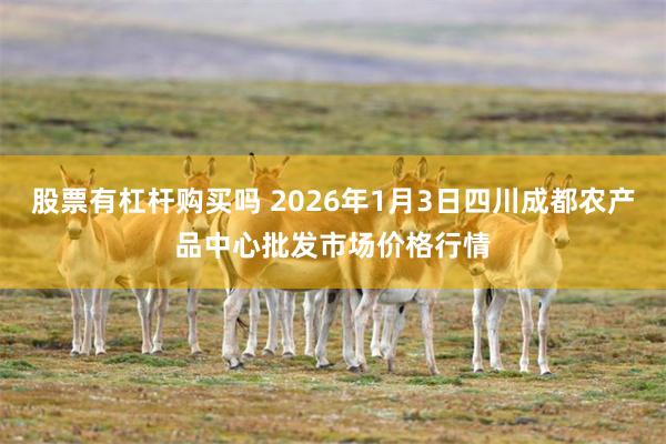 股票有杠杆购买吗 2026年1月3日四川成都农产品中心批发市场价格行情