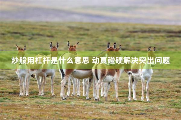 炒股用杠杆是什么意思 动真碰硬解决突出问题