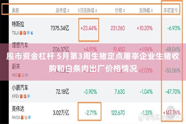 股市资金杠杆 5月第3周生猪定点屠宰企业生猪收购和白条肉出厂价格情况