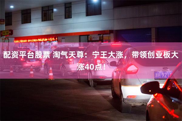 配资平台股票 淘气天尊：宁王大涨，带领创业板大涨40点！
