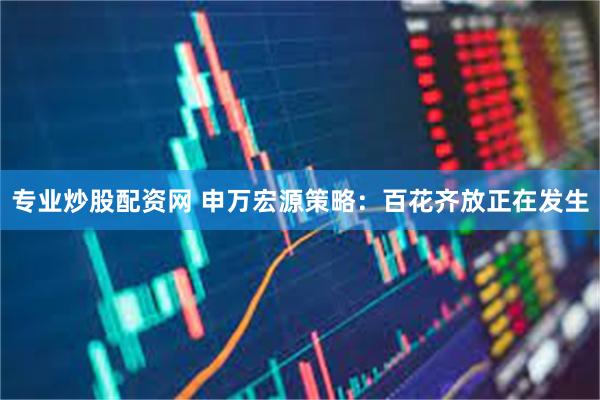 专业炒股配资网 申万宏源策略：百花齐放正在发生