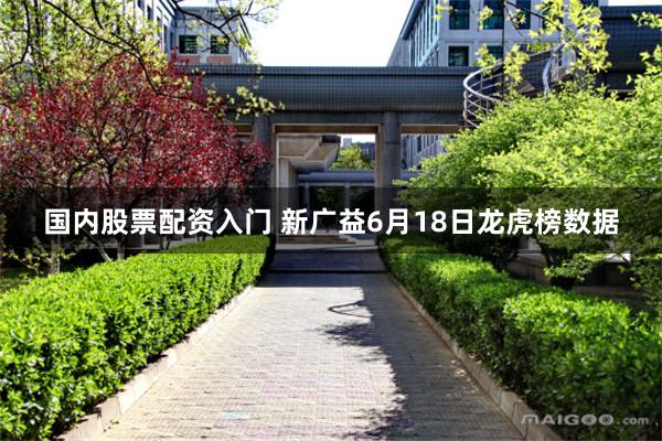 国内股票配资入门 新广益6月18日龙虎榜数据