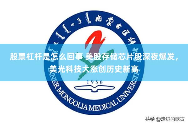 股票杠杆是怎么回事 美股存储芯片股深夜爆发，美光科技大涨创历史新高