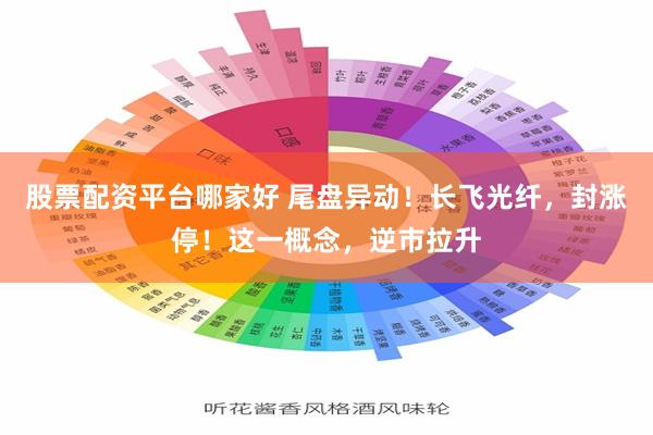 股票配资平台哪家好 尾盘异动！长飞光纤，封涨停！这一概念，逆市拉升