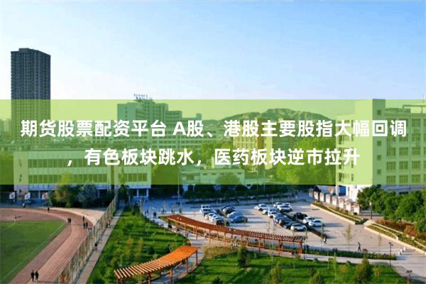 期货股票配资平台 A股、港股主要股指大幅回调，有色板块跳水，医药板块逆市拉升